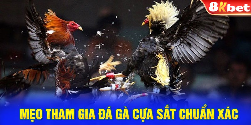 Mẹo tham gia đá gà cựa sắt chuẩn xác từ 8KBET